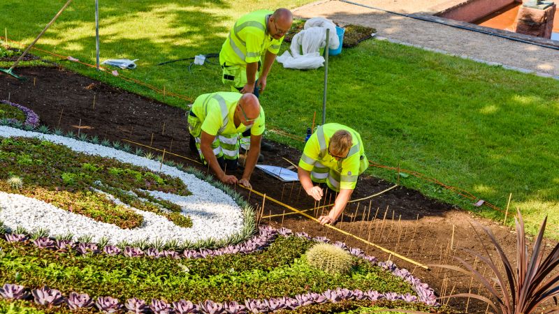Local Ground Slope Improvement pros at work